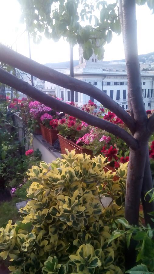 Bed And Breakfast " La Terrazza" Γένοβα Εξωτερικό φωτογραφία